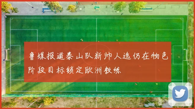 鲁媒报道泰山队新帅人选仍在物色阶段目标锁定欧洲教练