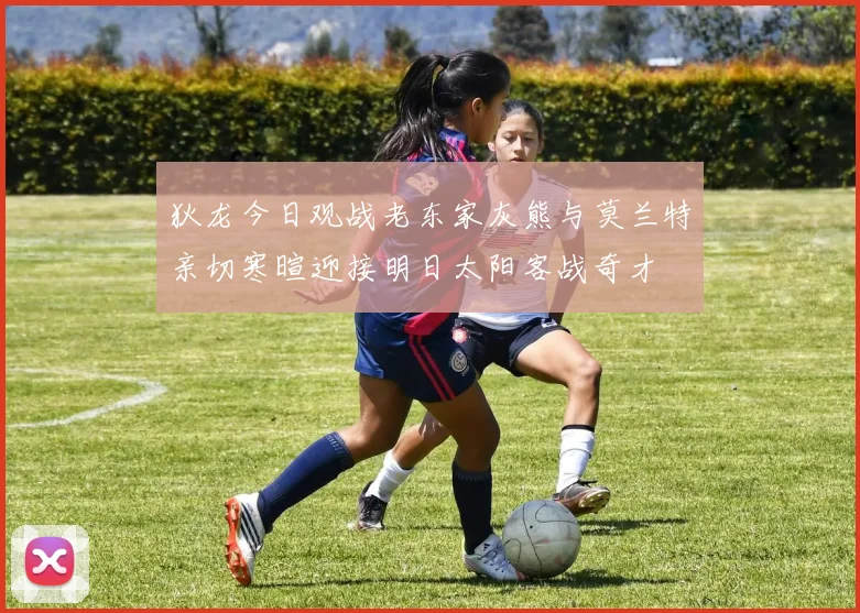 狄龙今日观战老东家灰熊与莫兰特亲切寒暄迎接明日太阳客战奇才