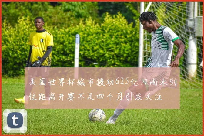 美国世界杯城市援助625亿刀尚未到位距离开赛不足四个月引发关注