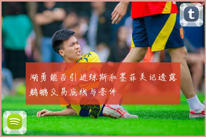 湖勇能否引进琼斯和墨菲美记透露鹈鹕交易底线与条件